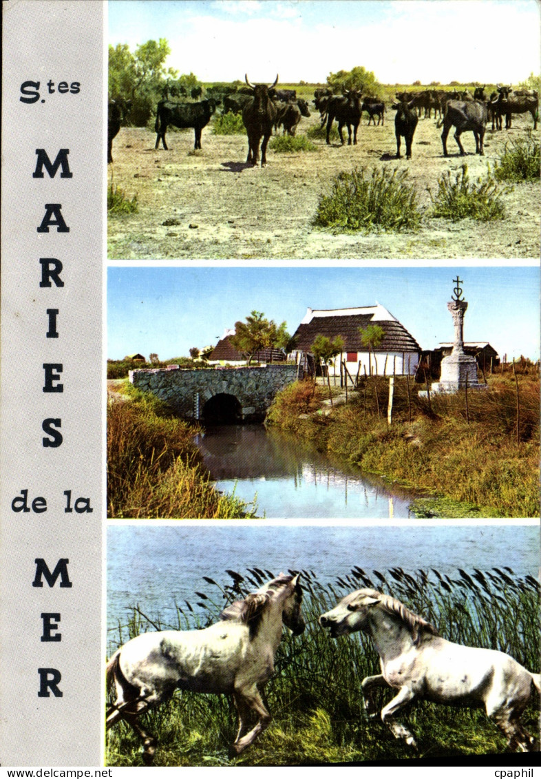 CPM Saintes Maries De La Mer Chevaux Taureaux