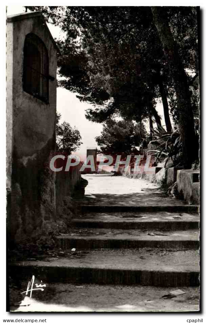 CPM Sanary sur mer Chemin de l'oratoire