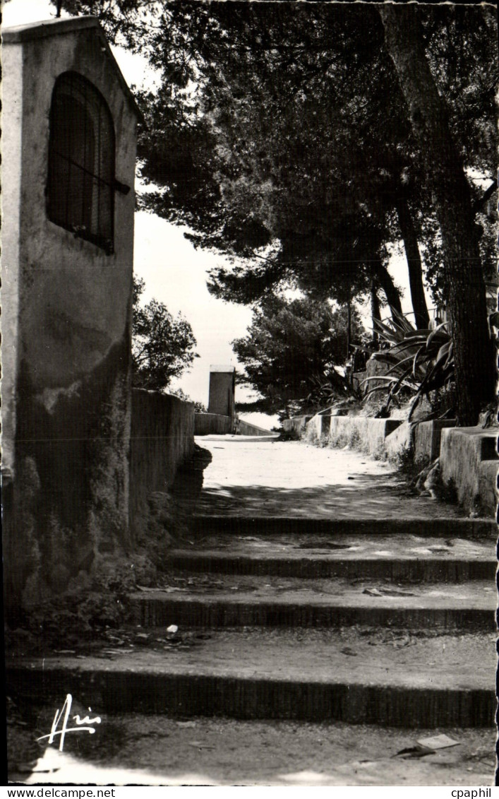 CPM Sanary sur Mer Chemin de l'oratoire
