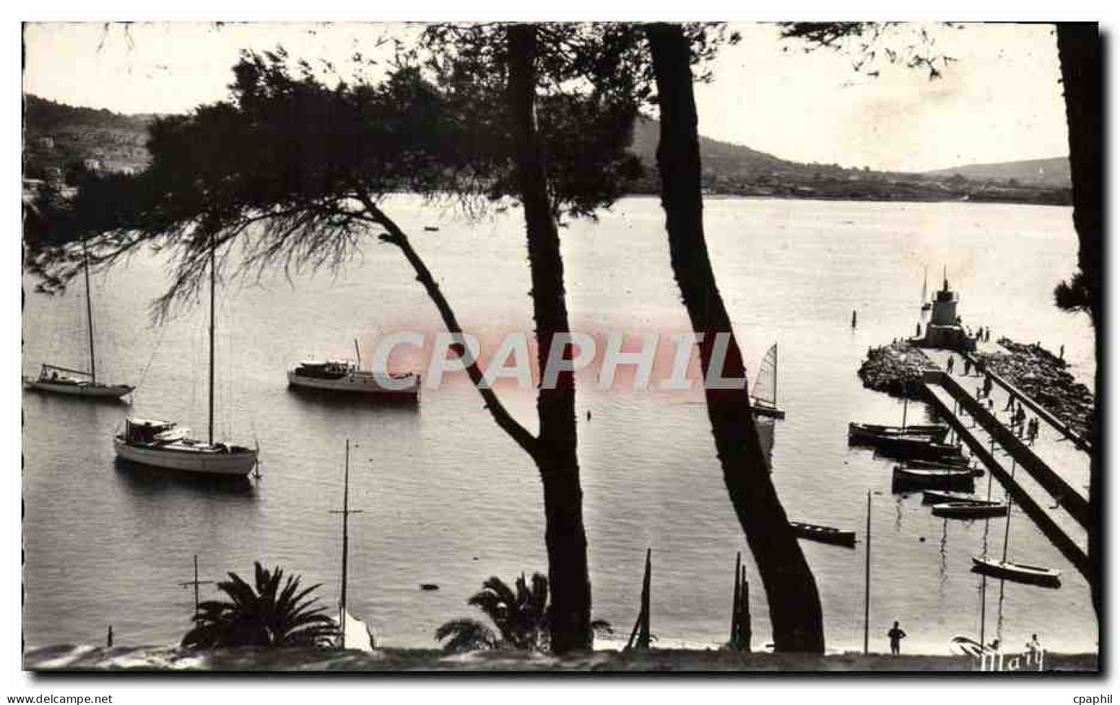 CPM Sanary Sur Mer La Jetee