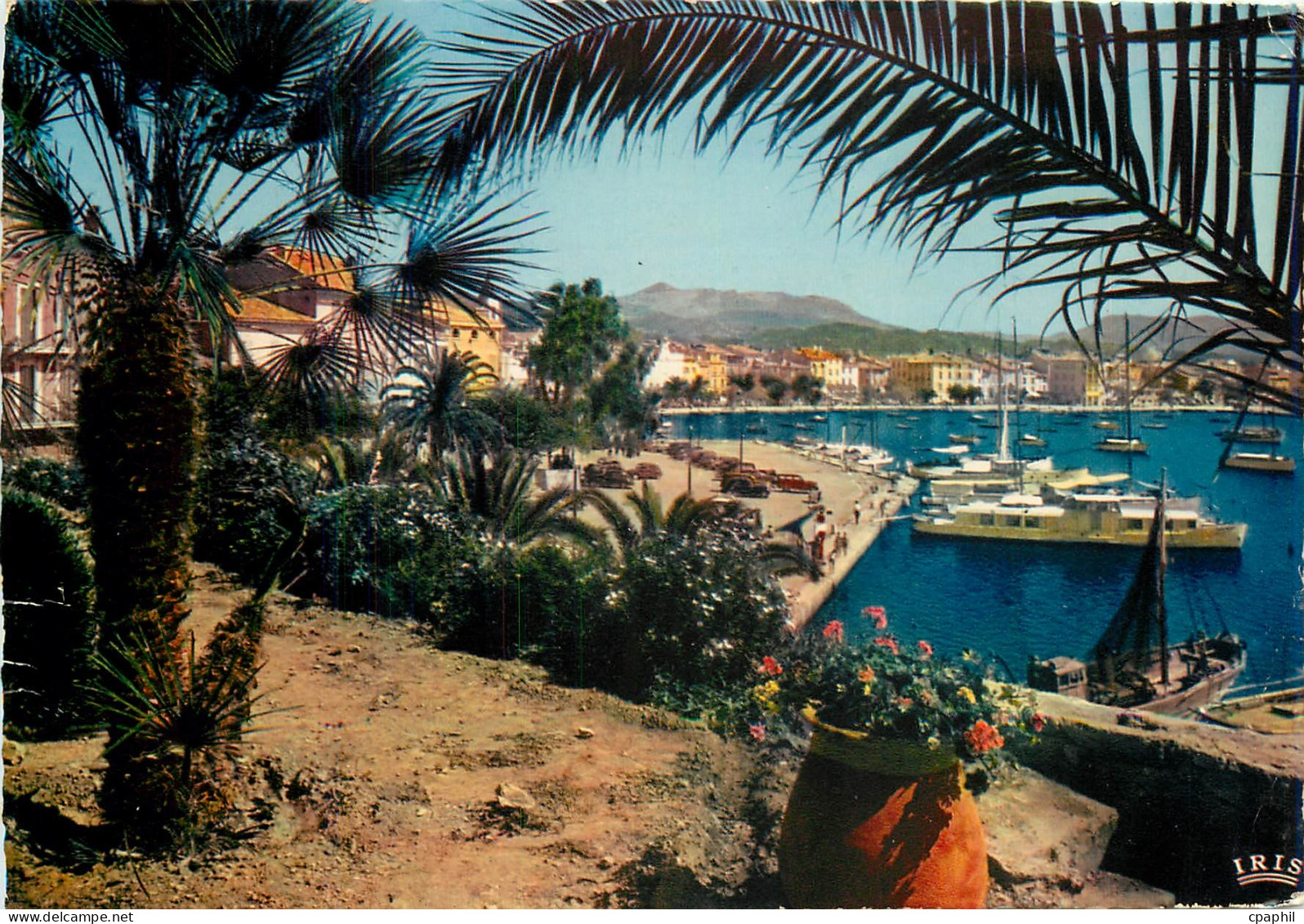 CPM Sanary sur Mer Var Une echappee sur le Port