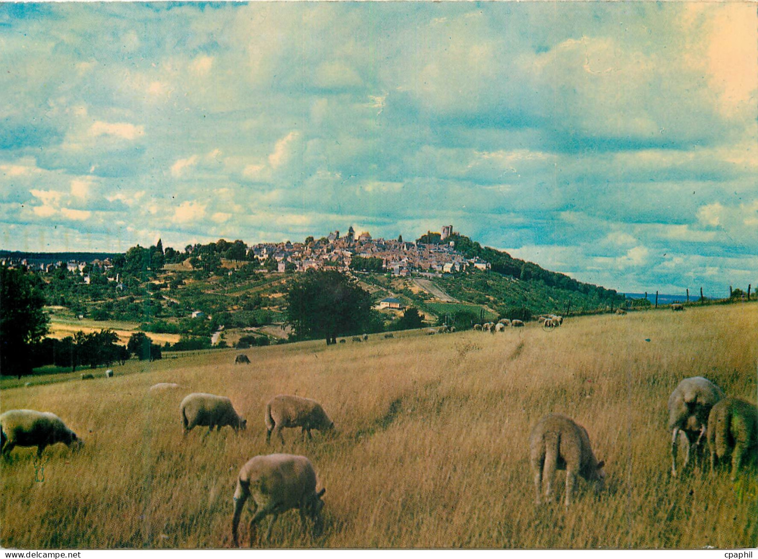 CPM Sancerre Cher Vue generale