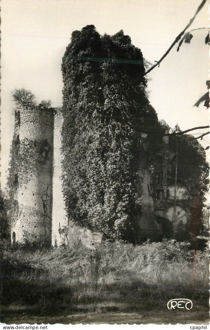 CPM Sancoins Cher Ruines du Chateau de Jouy