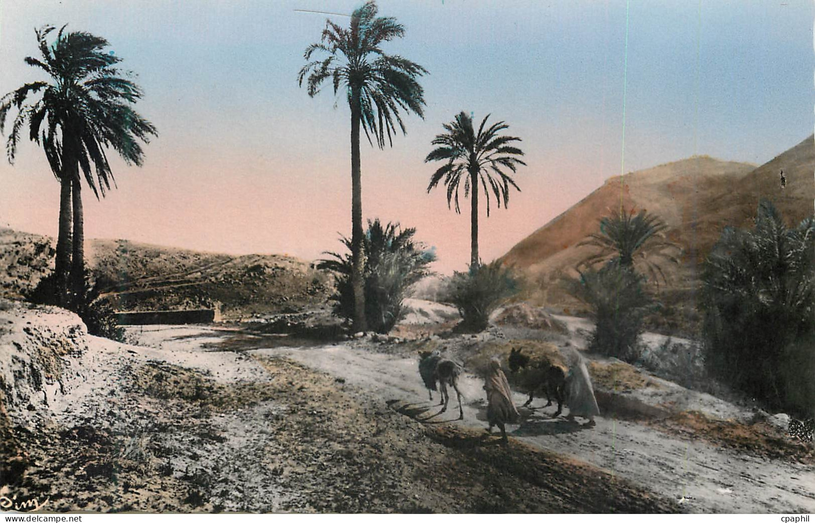 CPM Scenes et types du Maroc Types du Sud Sur la Piste
