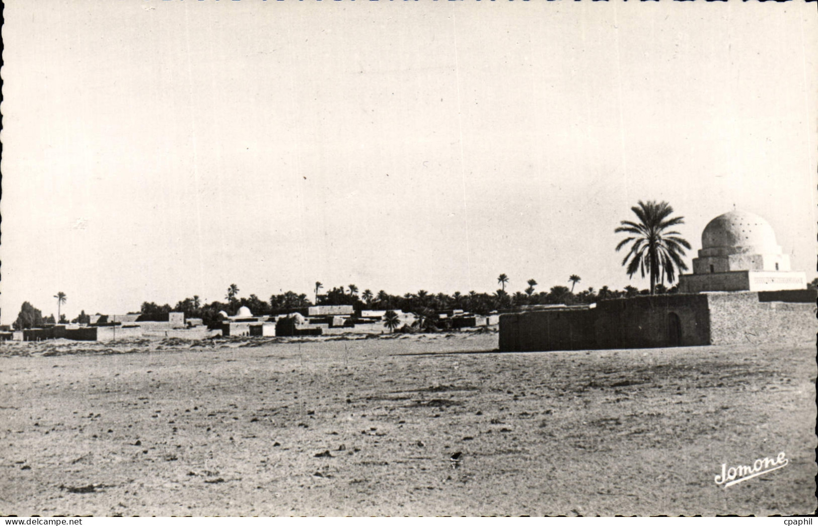 CPM Scenes Et Types Oasis Et Palmeraie