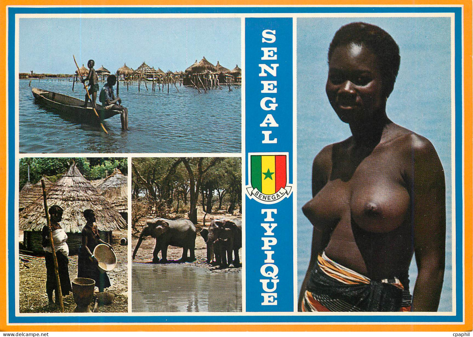 CPM Senegal Elephant