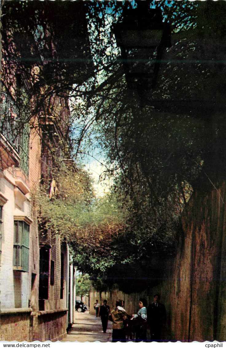 CPM Sevilla petite ruelle