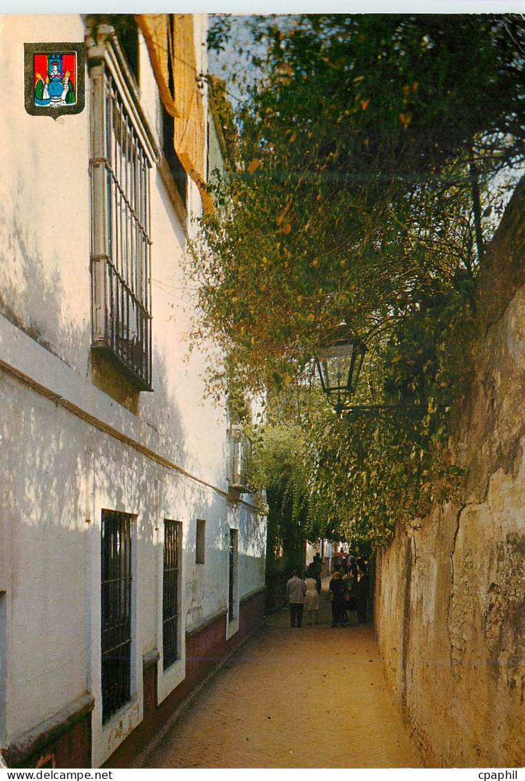 CPM Sevilla sevilla typique ruelle d'eau