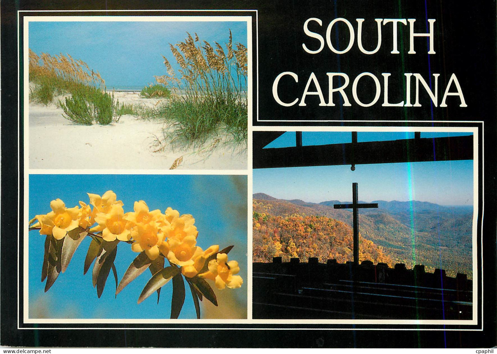 CPM South Carolina
