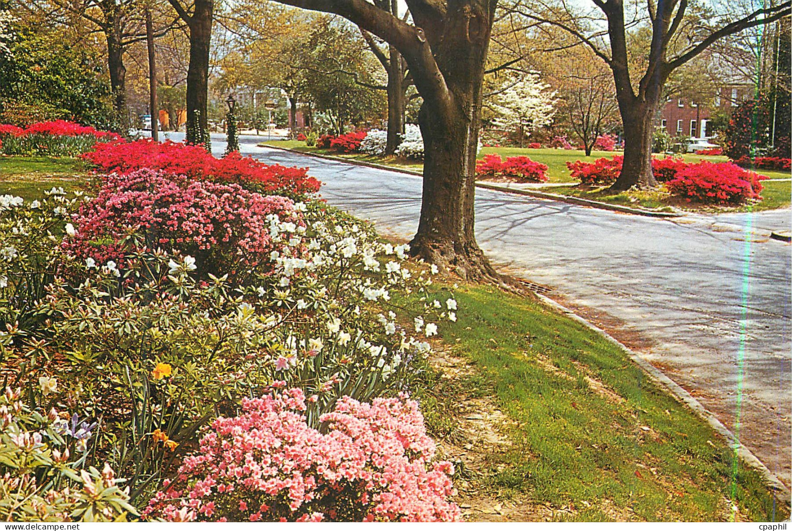 CPM South Carolina in The Spring