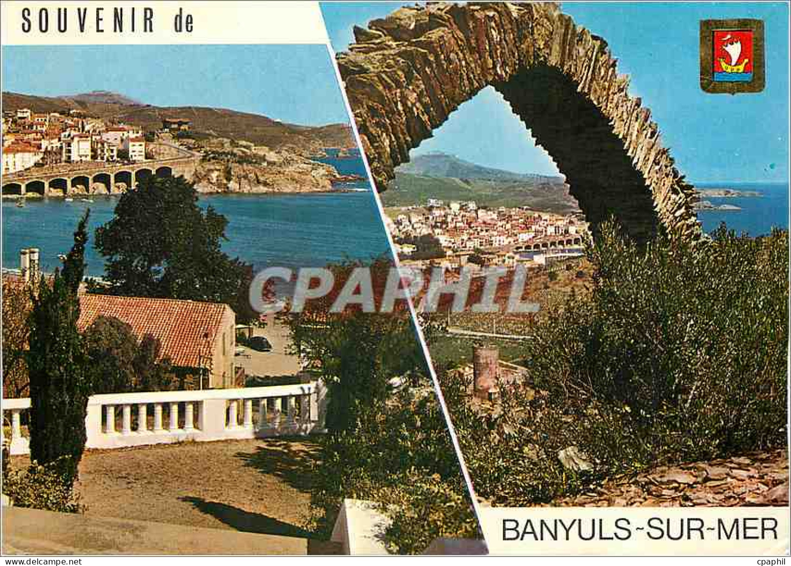 CPM Souvenir de Banyuls sur mer