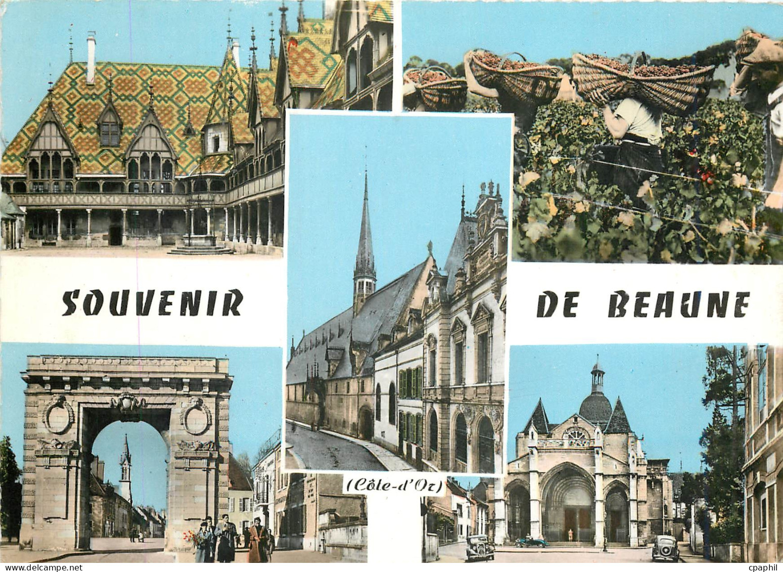 CPM Souvenir de Beaune C d'Or