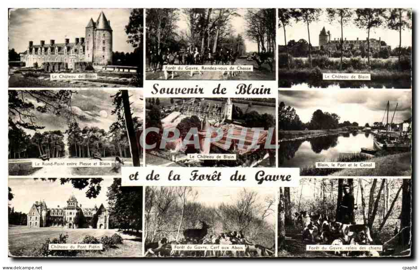 CPM Souvenir de Blain et d ela foret du Gavre