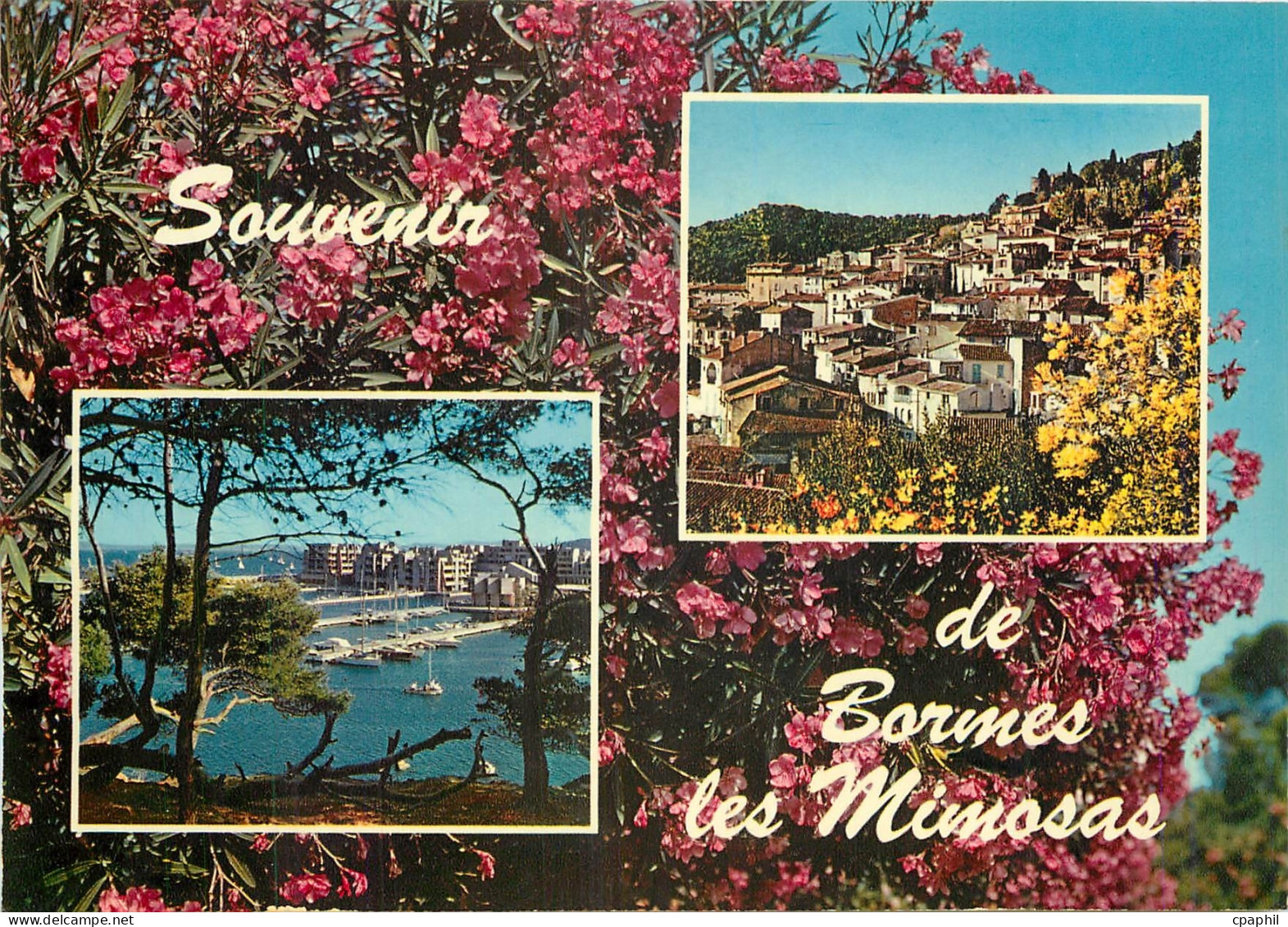 CPM Souvenir de Bormes les Mimosas