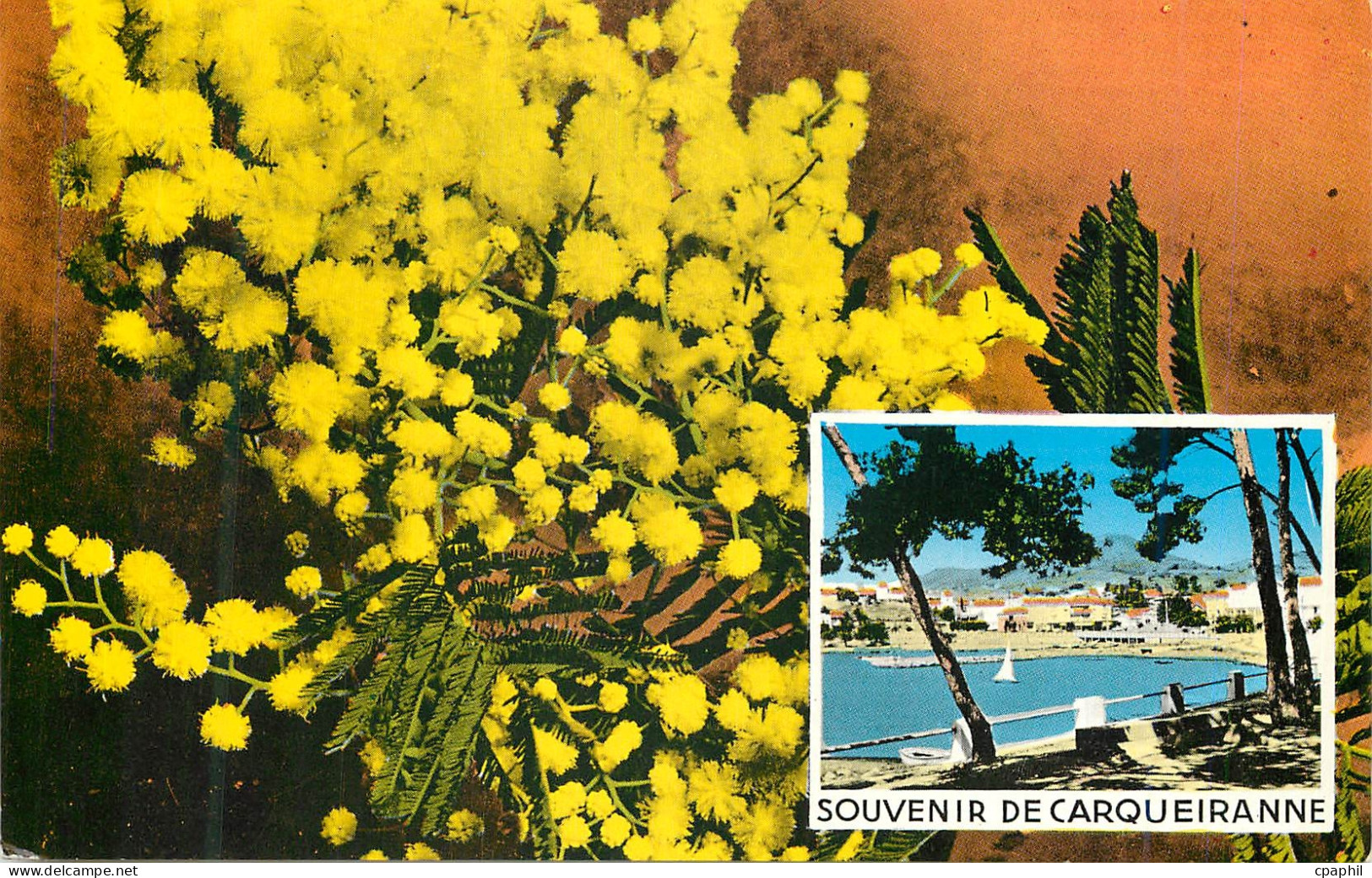CPM Souvenir de carqueiranne