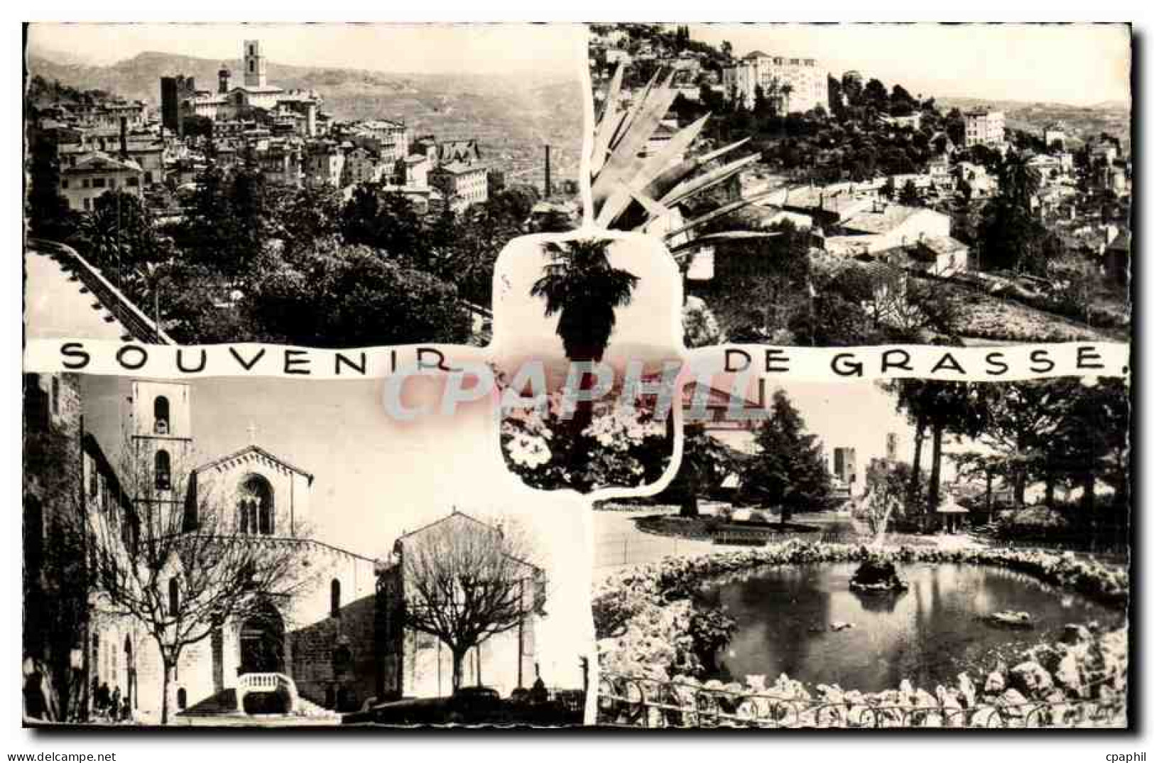 CPM Souvenir de Grasse