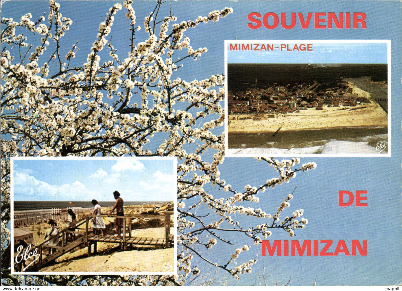 CPM Souvenir de Mimizan