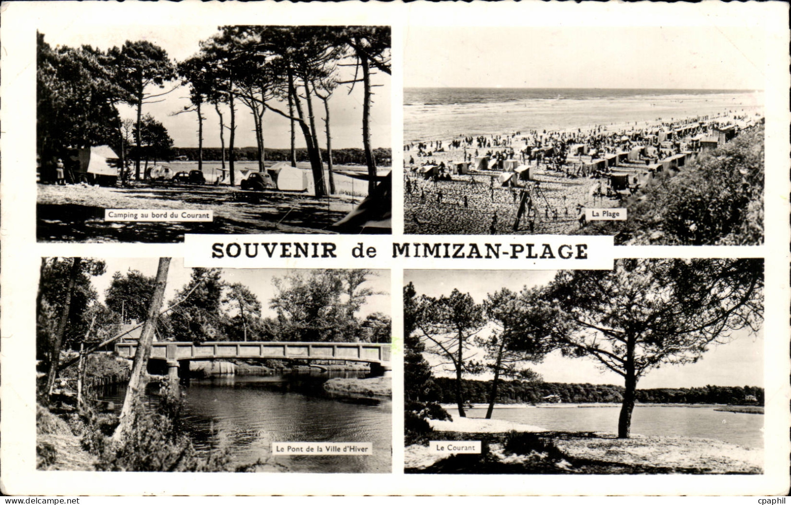 CPM Souvenir de Mimizan Plage