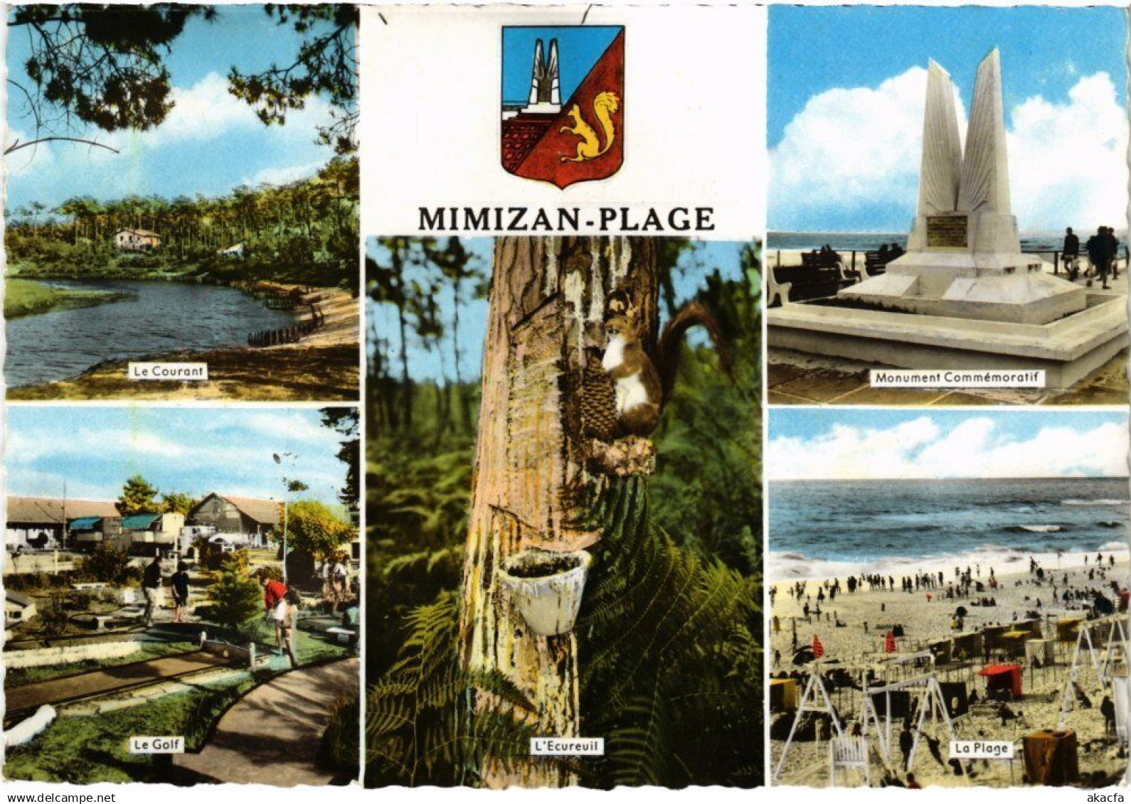 CPM Souvenir de Mimizan-Plage FRANCE (1337271)