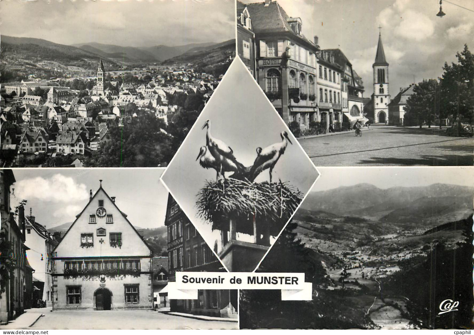 CPM Souvenir de Munster