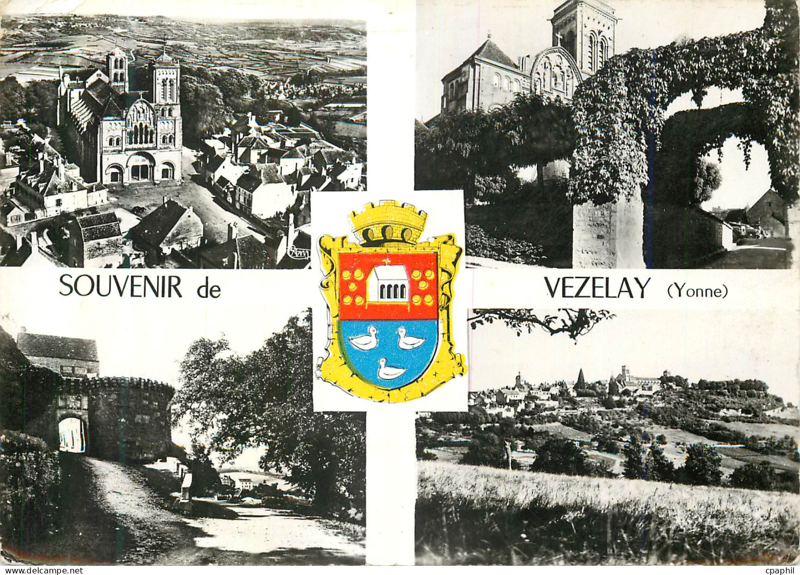 CPM Souvenir de Vezelay (Yonne)