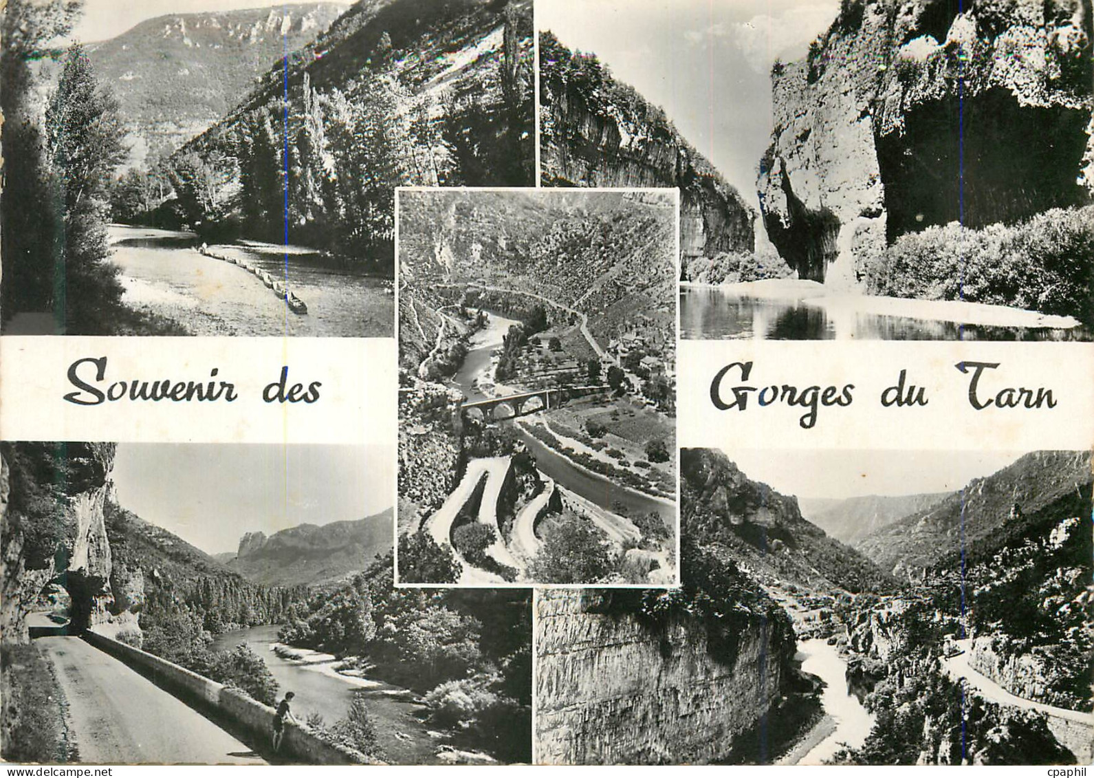 CPM Souvenir des Gorges du Tarn