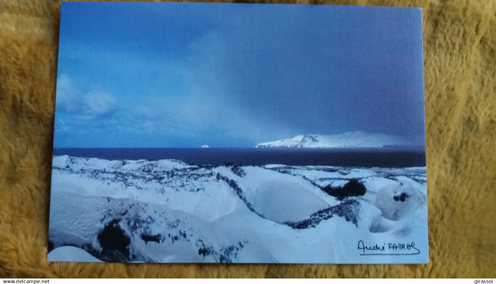 CPM TAAF TERRES AUSTRALES ET ANTARCTIQUES DE FRANCAISES GRAIN DE NEIGE KERGUELEN PHOTO FATRAS  ED LABOUREUR