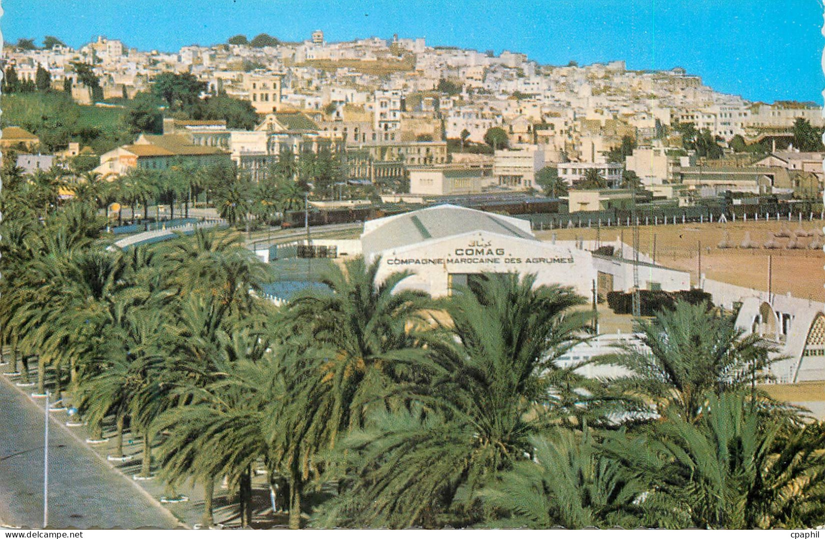 CPM Tanger avenue d'espagne