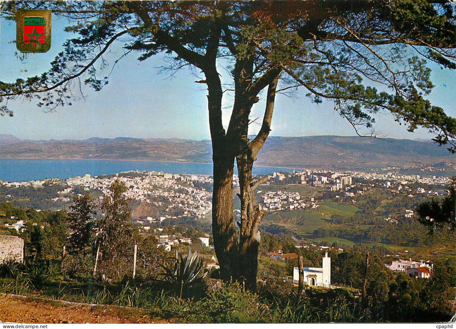 CPM Tanger Vue Generale