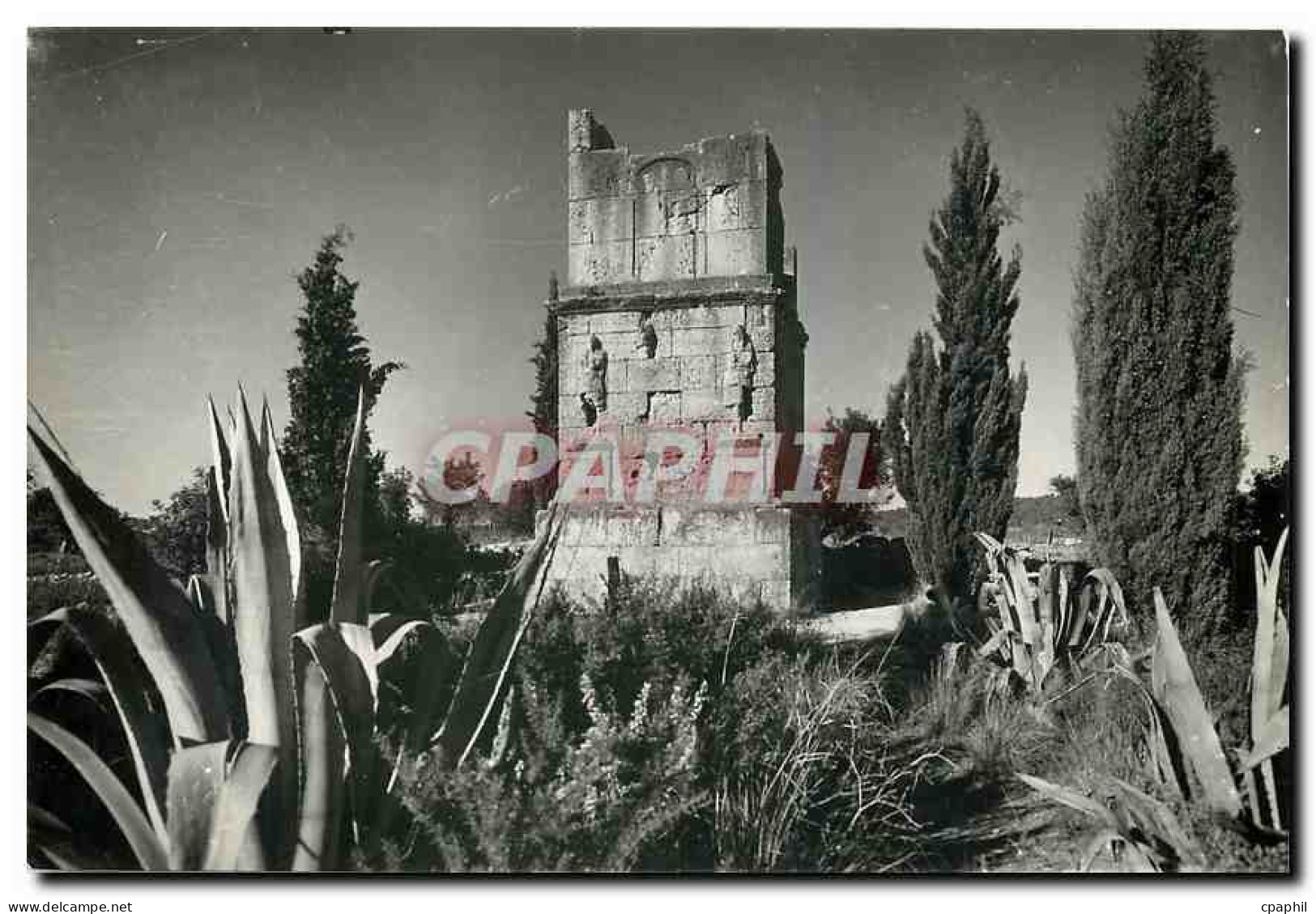CPM Tarragona Torre de los Scipiones