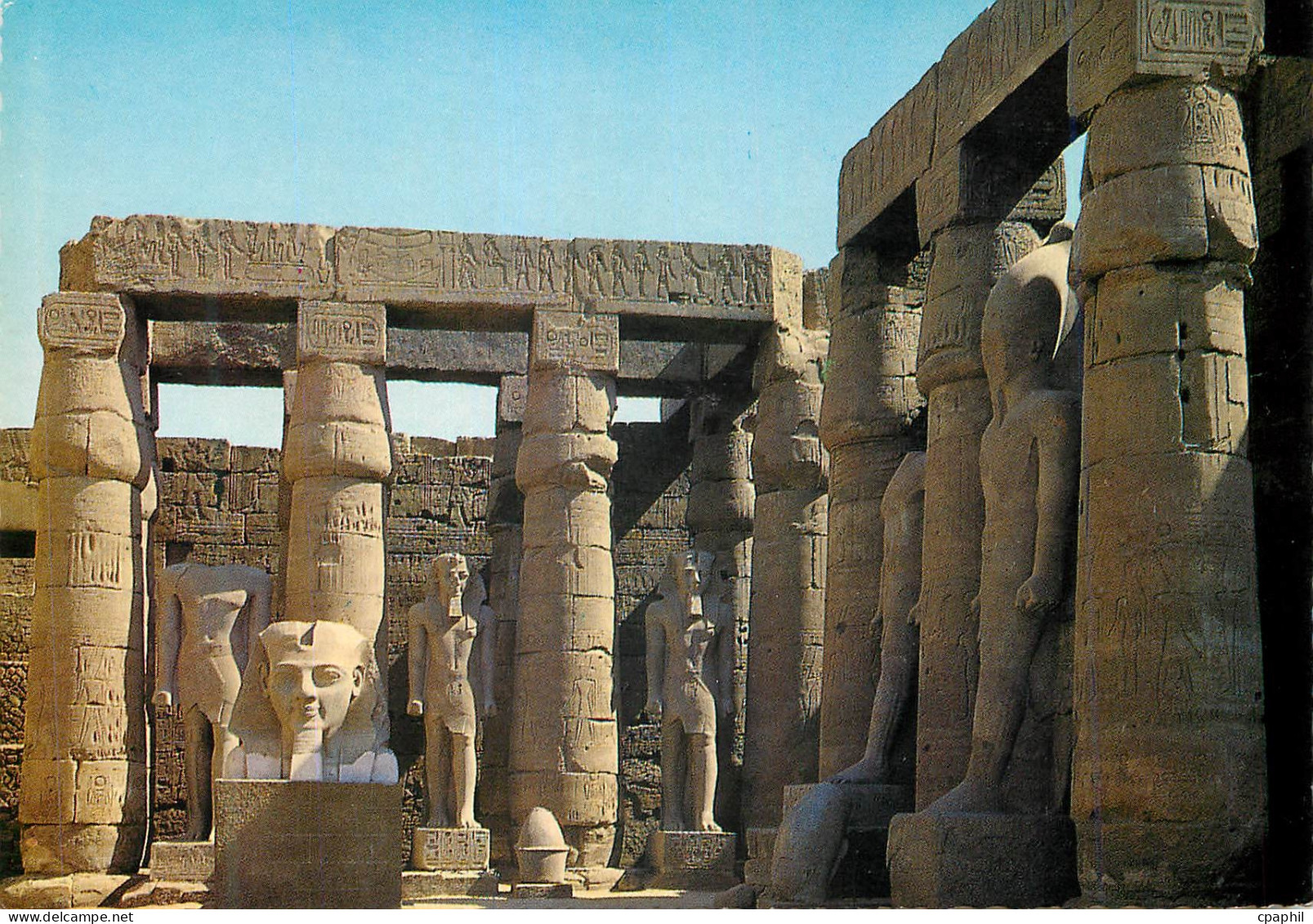 CPM Temple de Louxor Statues de Ramses ii dans le grande cour