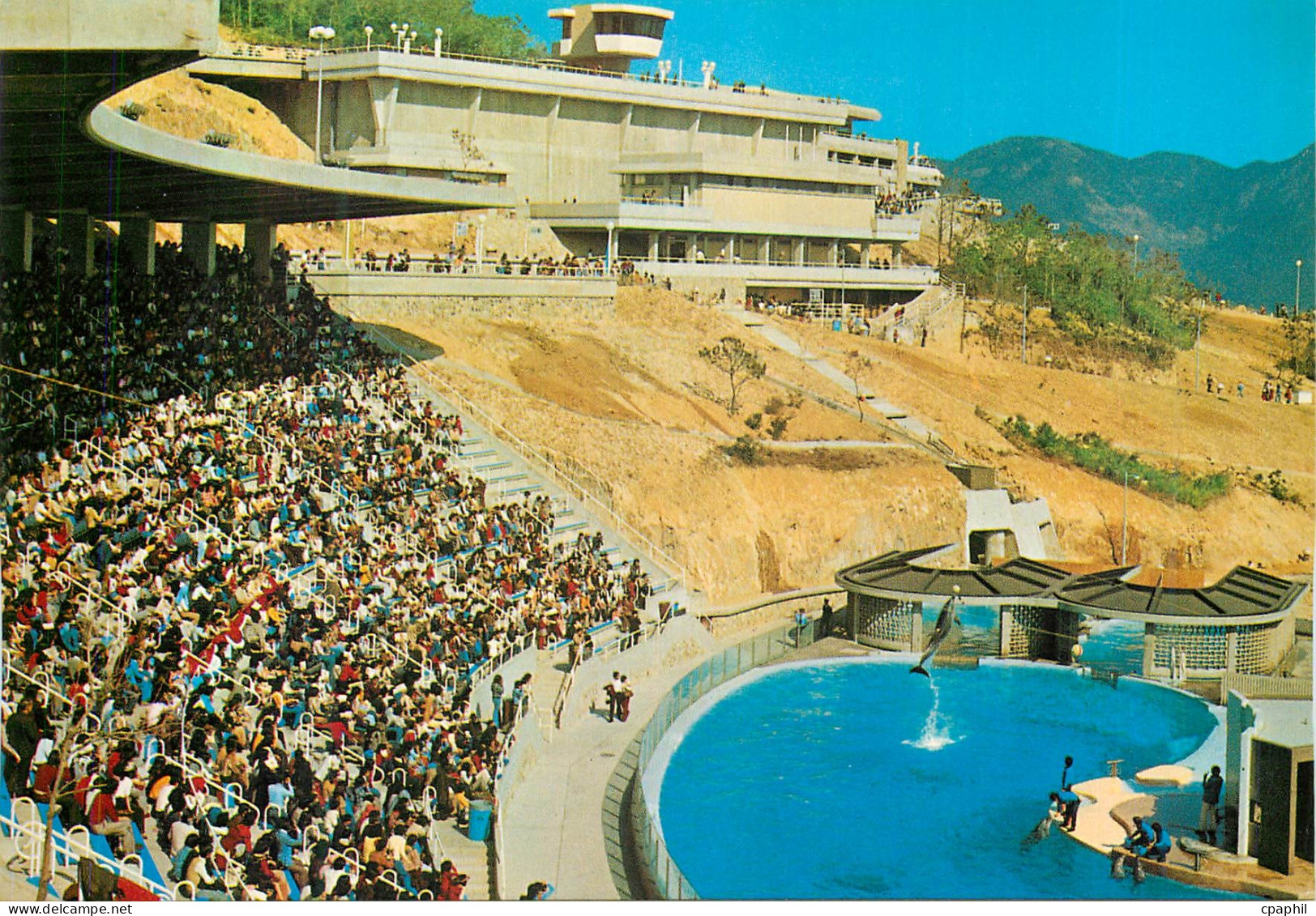 CPM The Ocean Park Dauphin