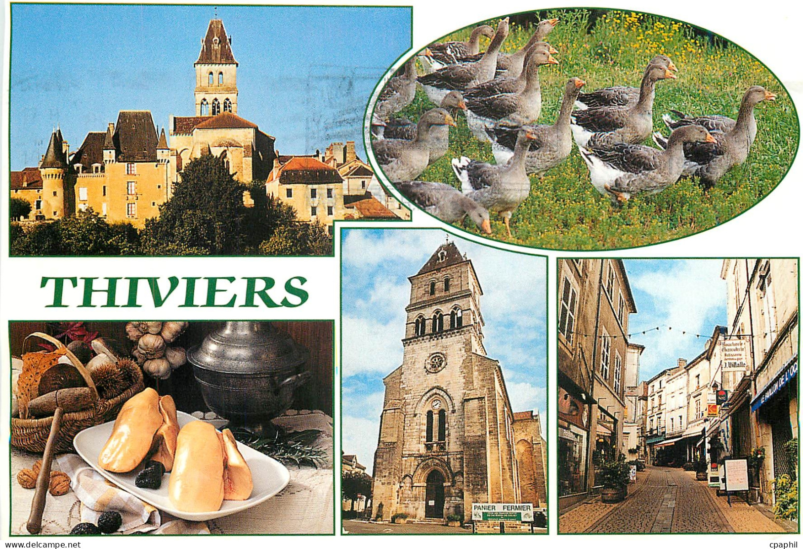 CPM Thiviers Dordogne Pittoresque Bourgade du Perigord vert
