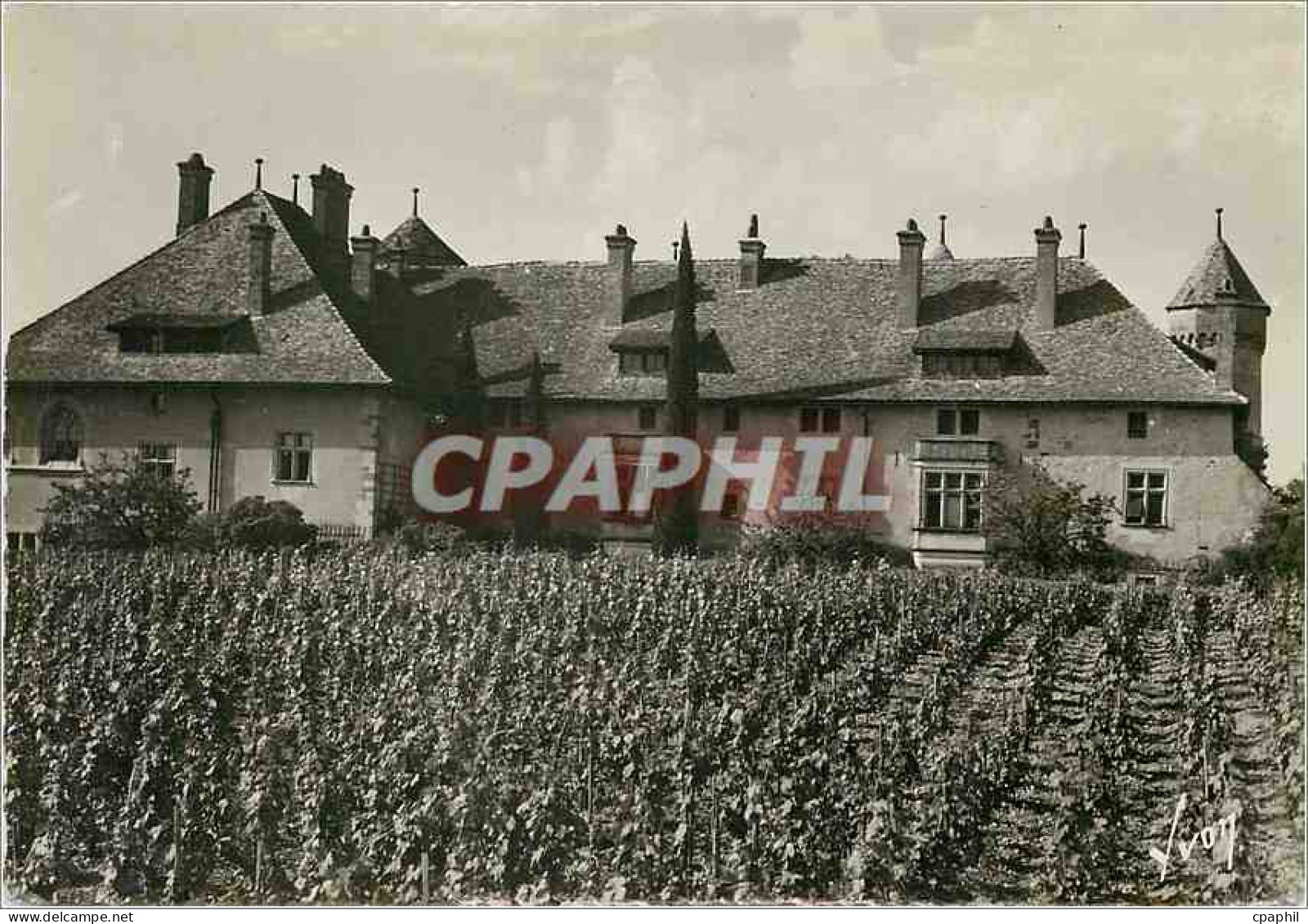 CPM Thonon les Bains Hte Savoie Le chateau de Ripaille
