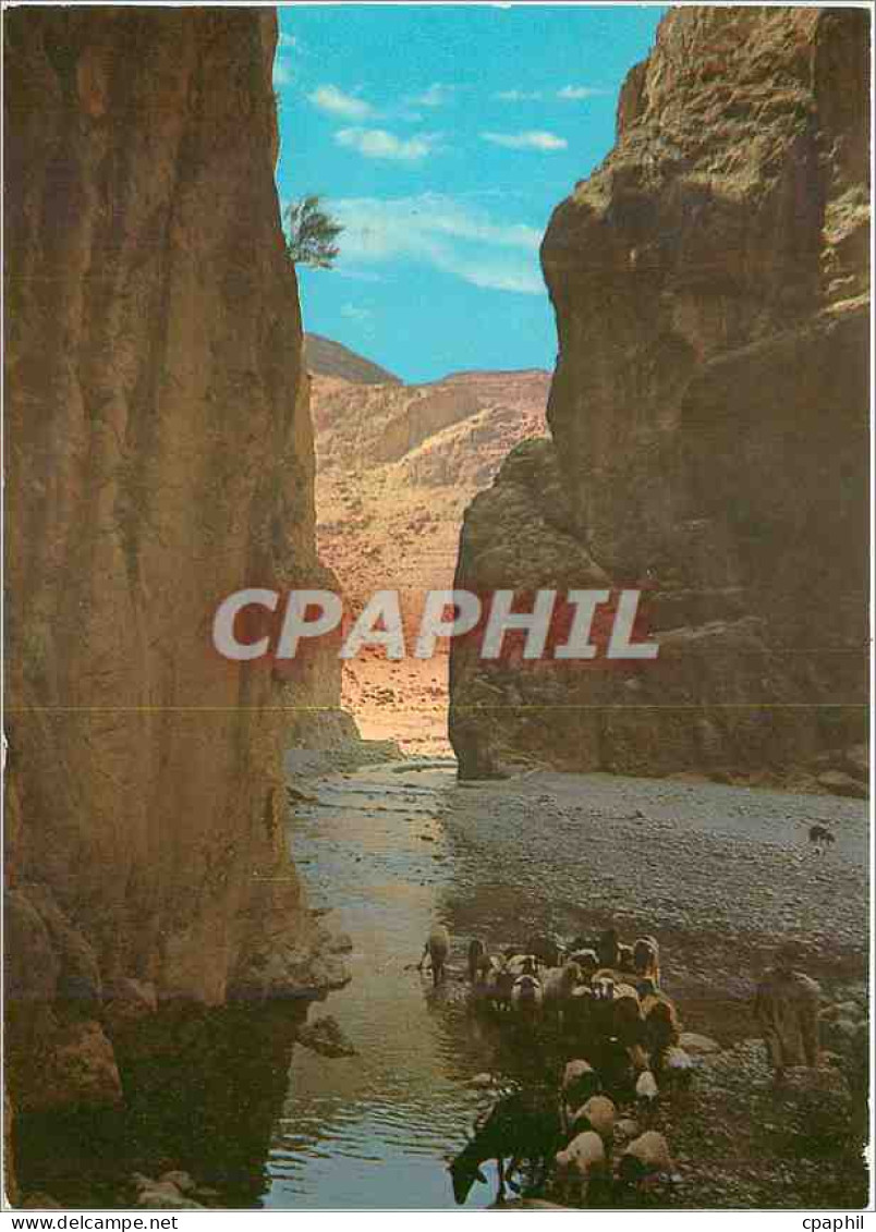 CPM Tinghir Les Gorges du Tarn