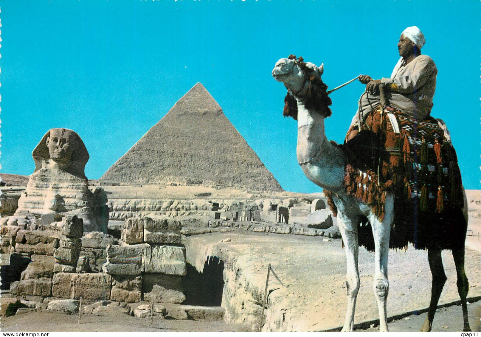 CPM Tourist Guide on Camel near the Great Sphinx