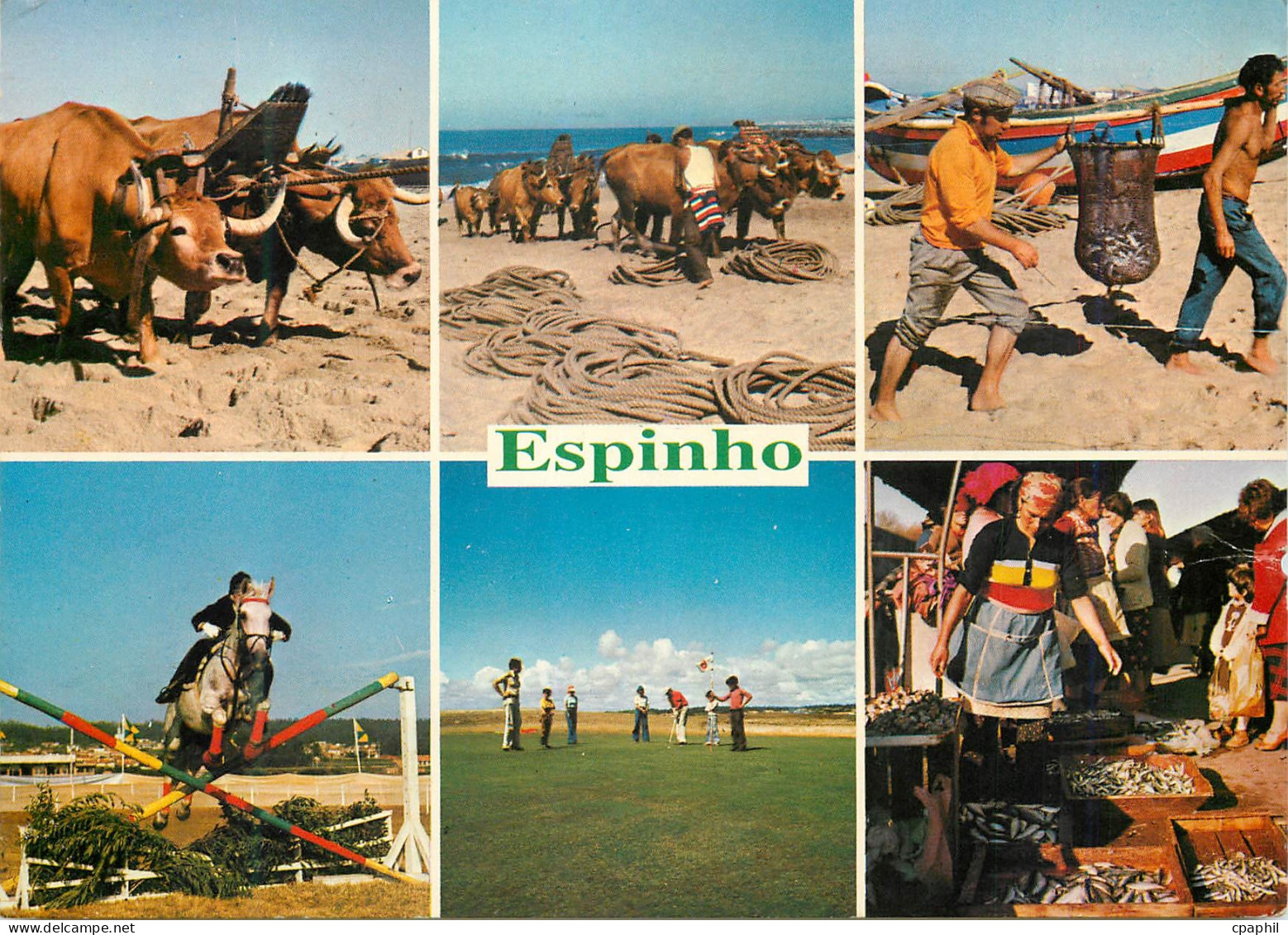 CPM Touristic motives Espinho Aveiro Peche Attelage