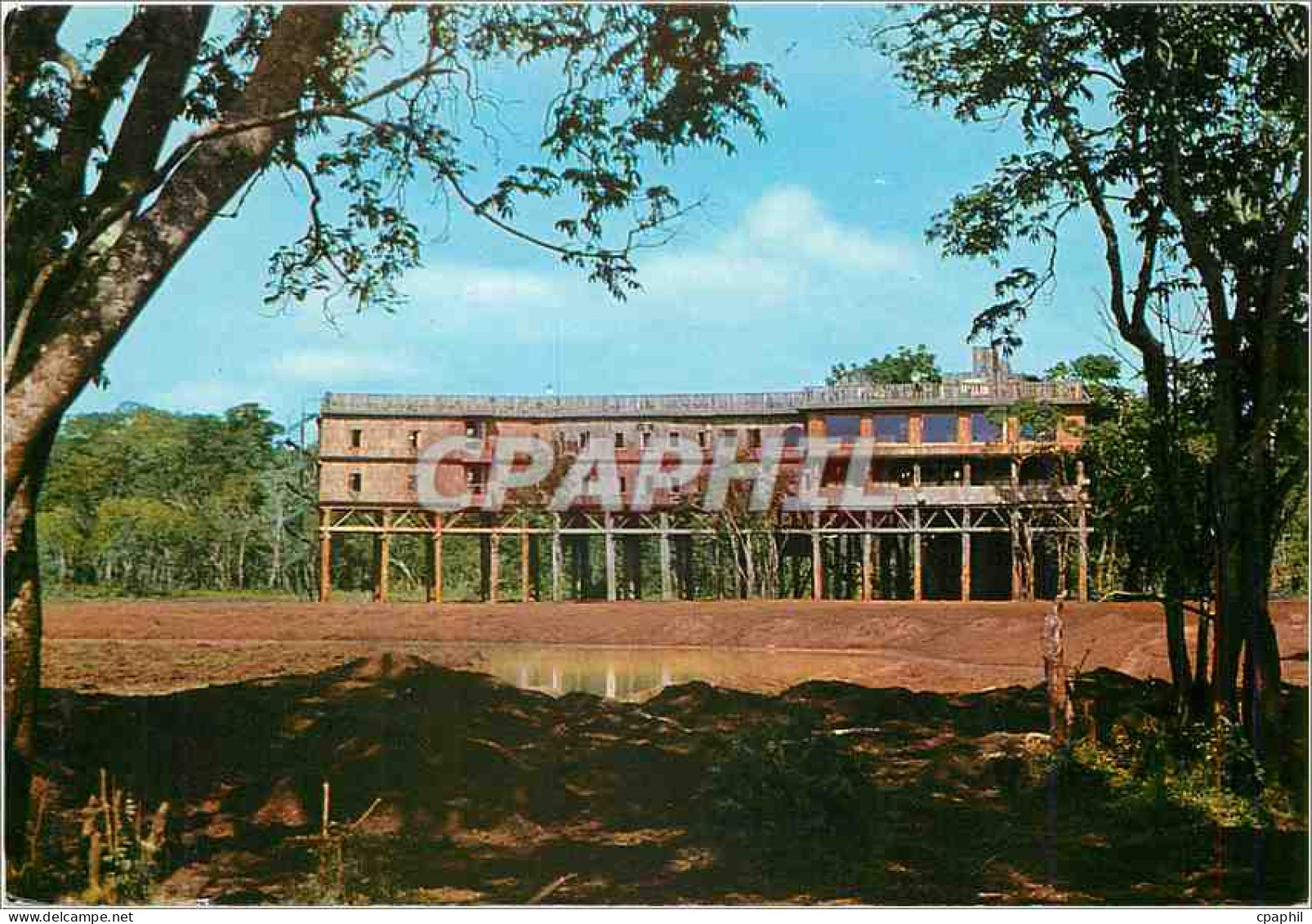 CPM Treetops Nyeri Kenya