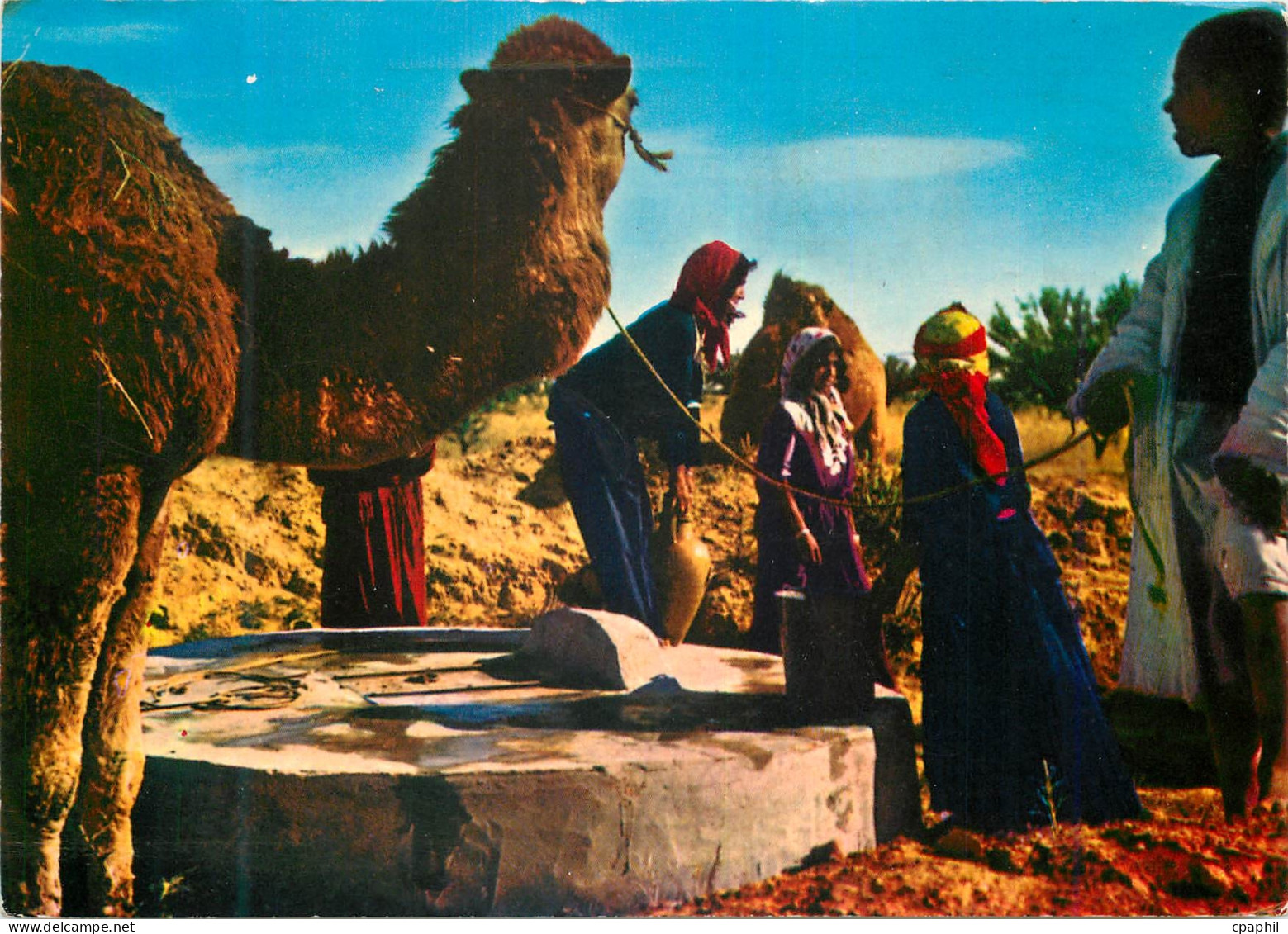 CPM Tunisie Costumes Bedouins