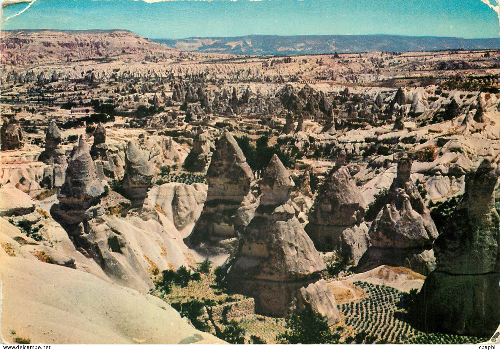 CPM Turkiye General View