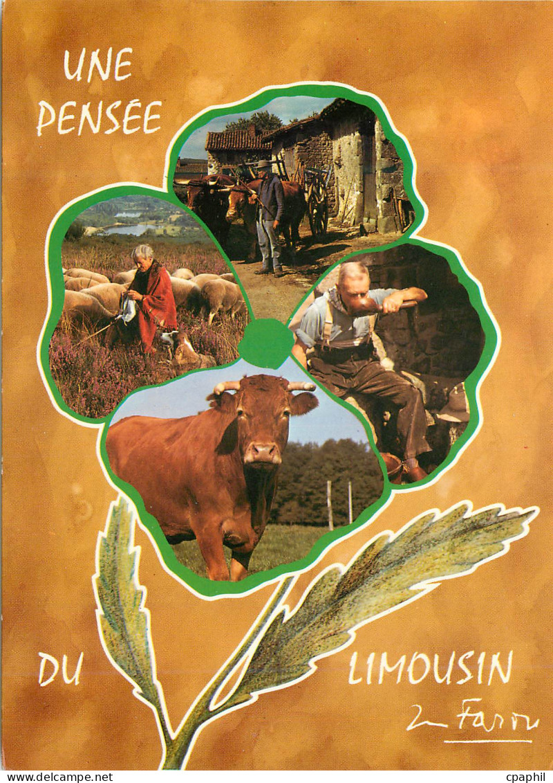 CPM Une Pensee du Limousin