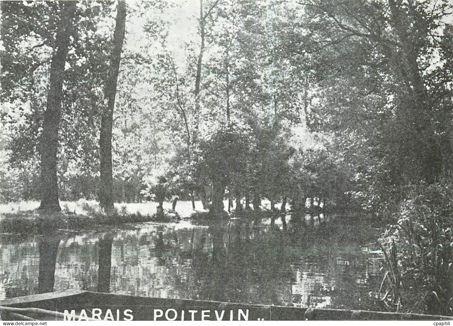 CPM Vacances PTT Oleron Marais Poitevin