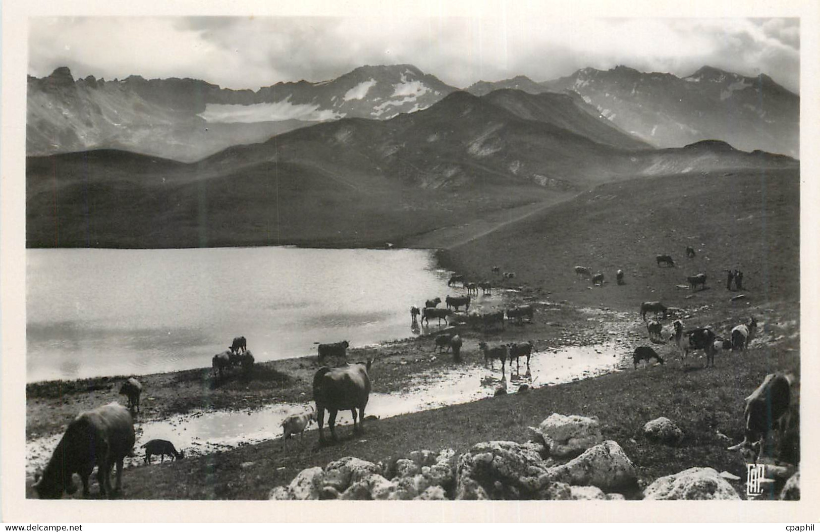 CPM Val D'Isere Lac de L'Ouillette et Cretes des Lessieres Vaches