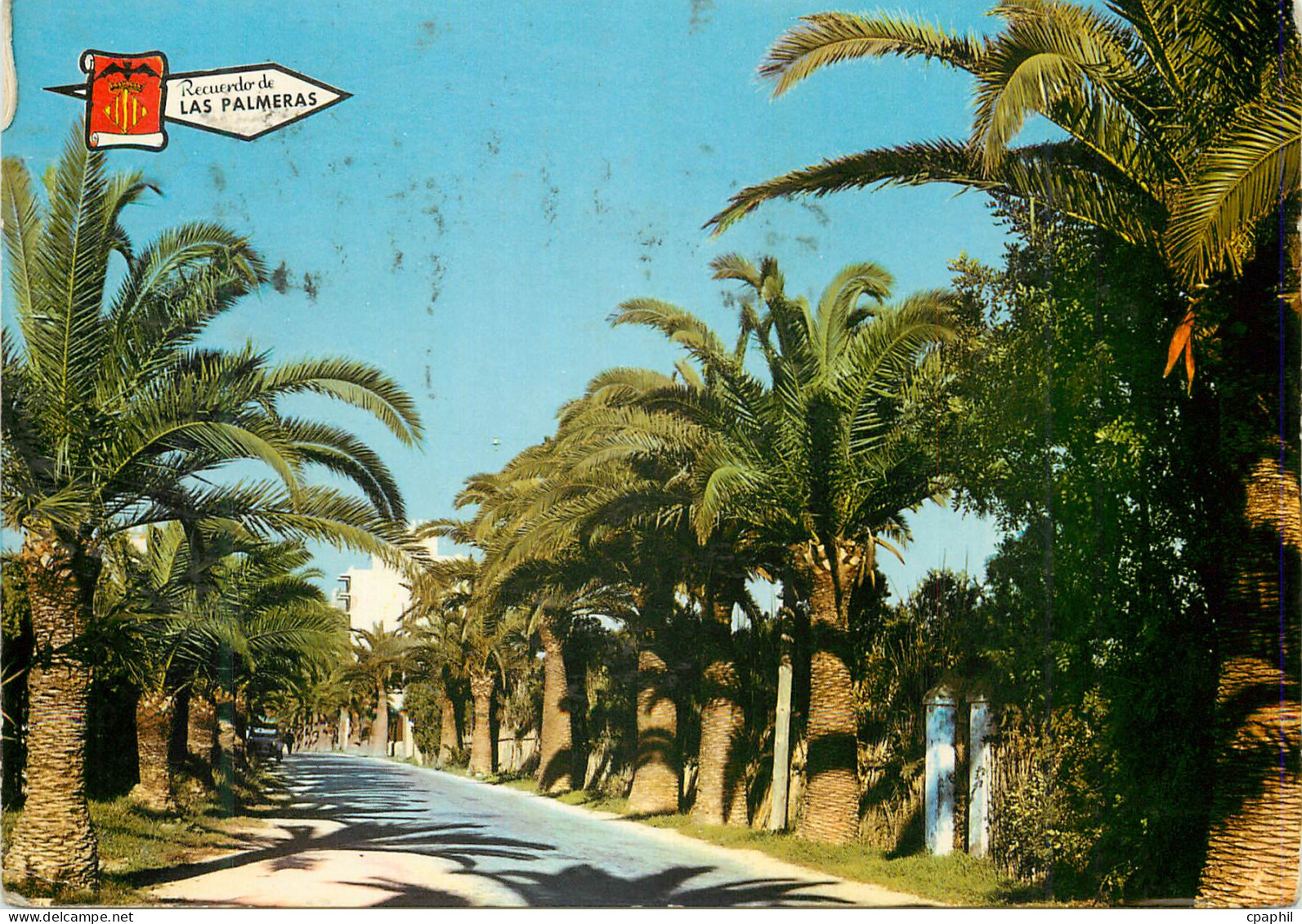 CPM Valencia Les Palmiers
