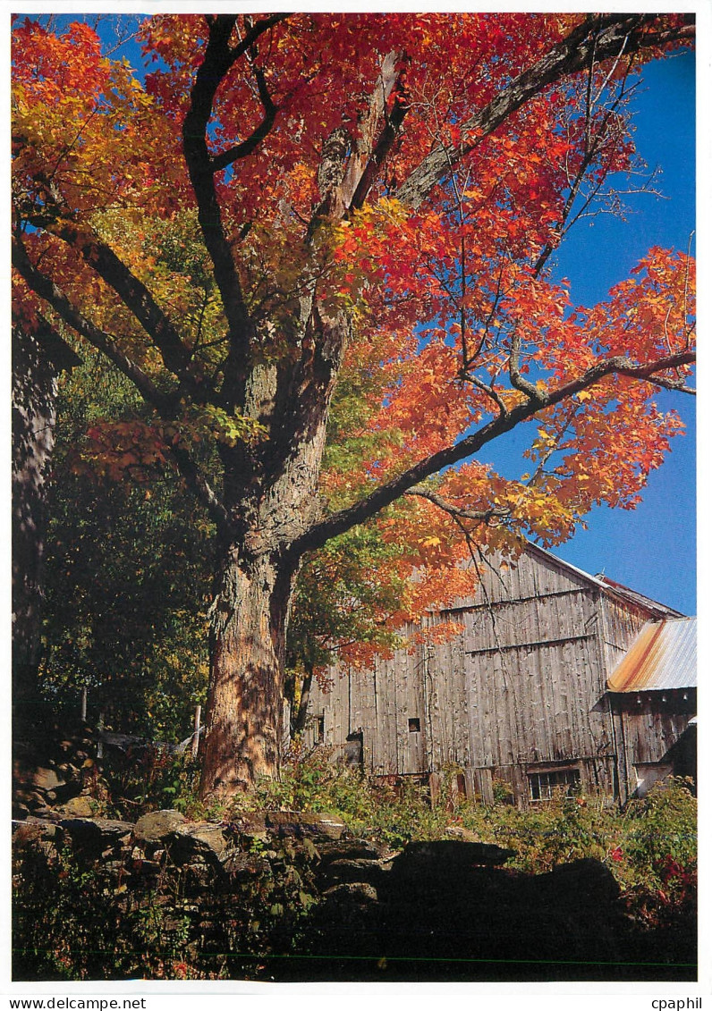 CPM Vermont