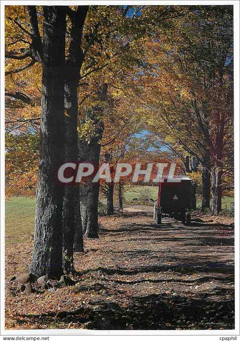 CPM Vermont