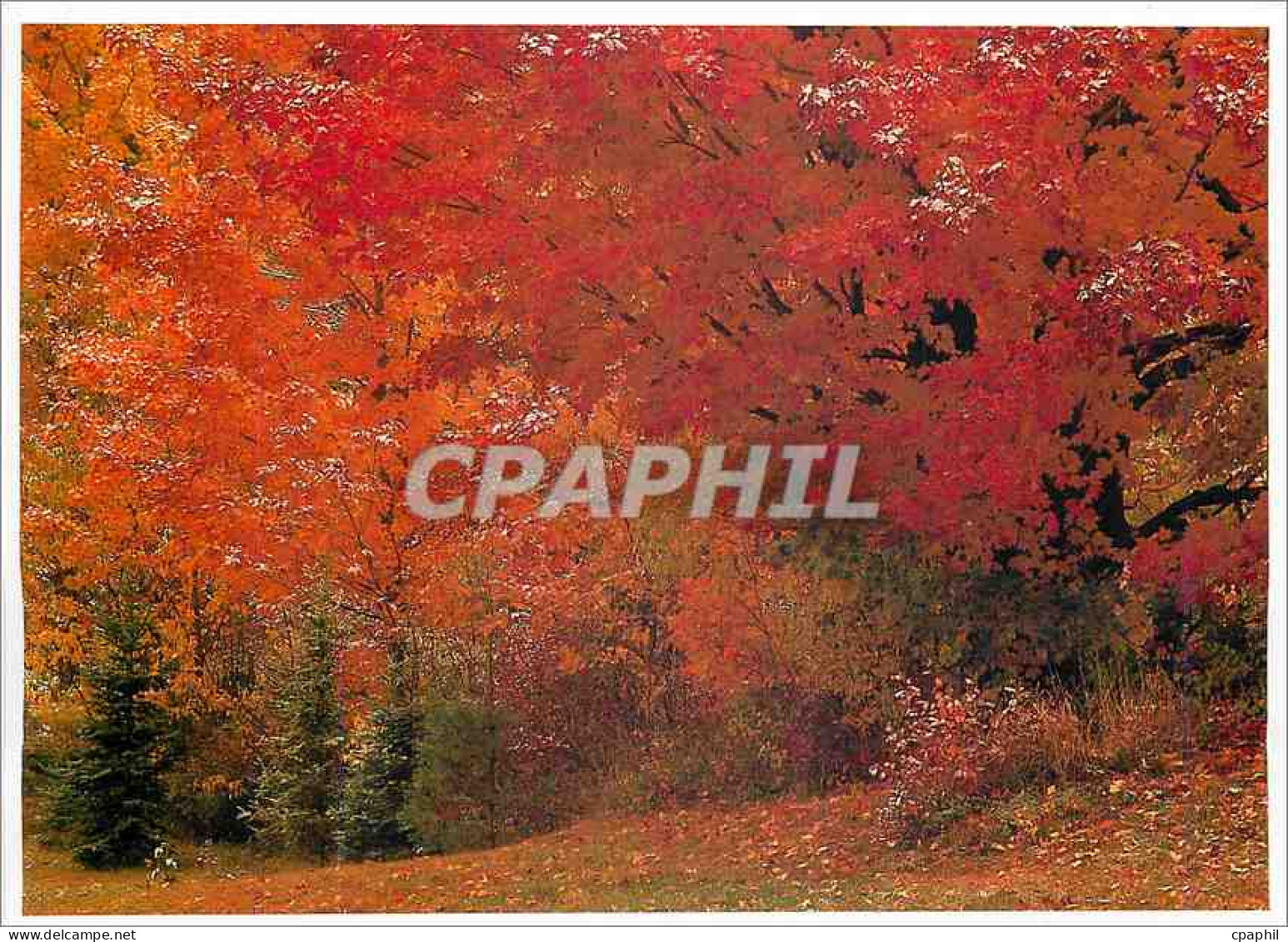 CPM Vermont