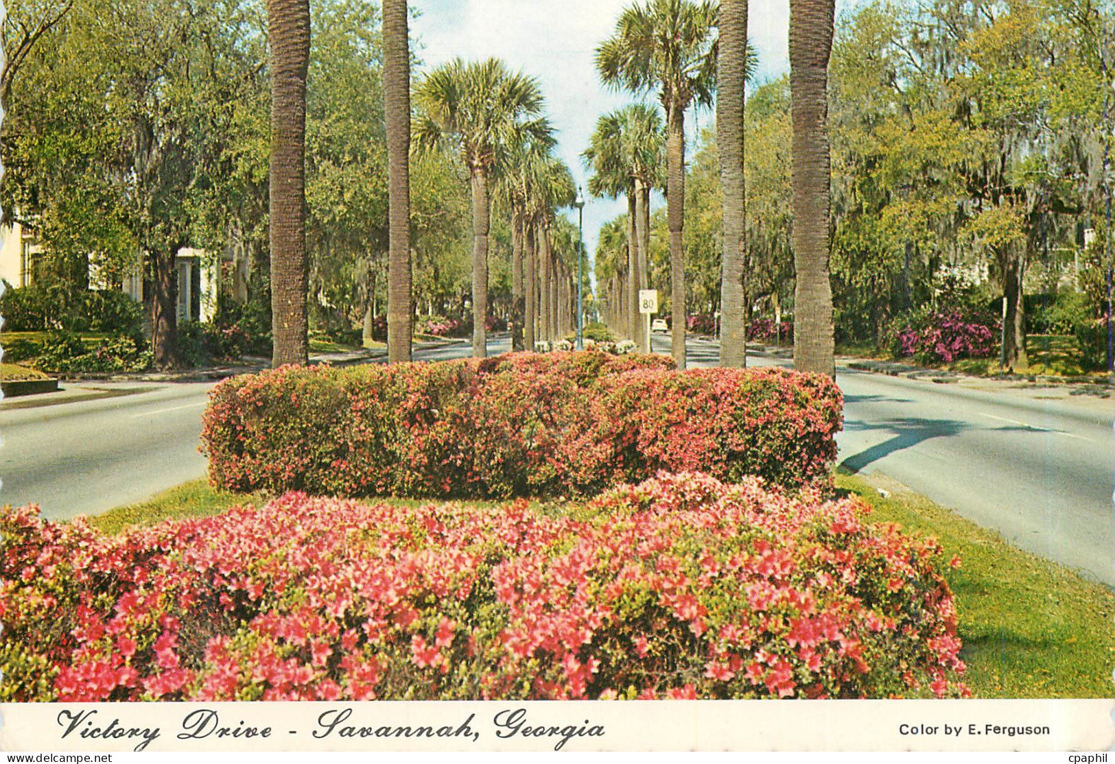CPM Victory Drive Savannah Georgia
