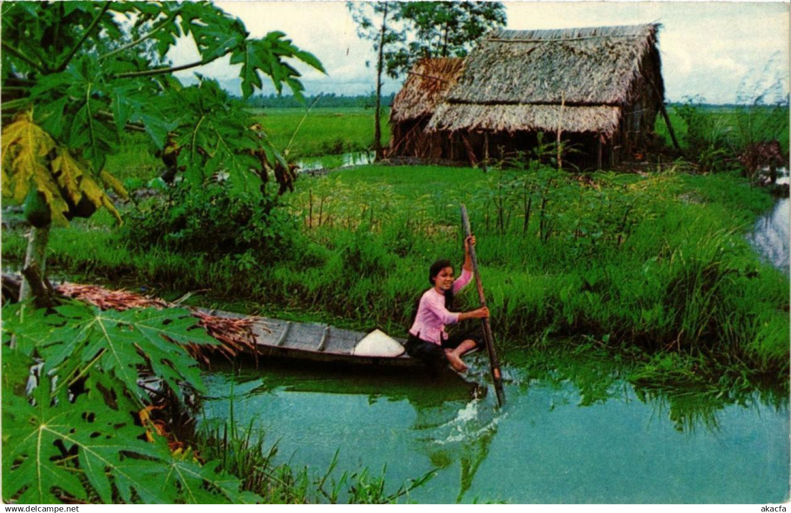 CPM VIETNAM Scene in rural Vietnam (729154)