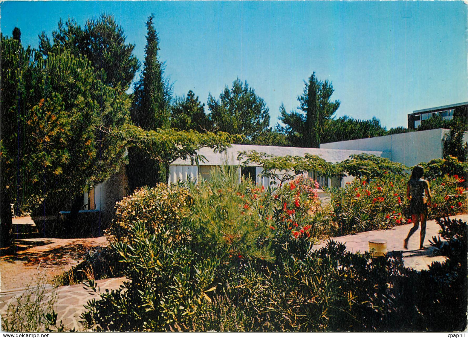 CPM Village Vacances Familles Vue du Parc Le Pradet
